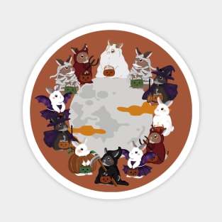 Rabbit Halloween Circle Moon Design _ Bunniesmee Halloween Edition Magnet